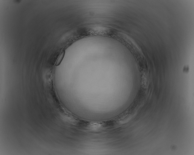 X0000094450701200711211519