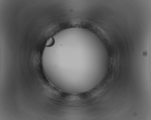 X0000094450702200711211519