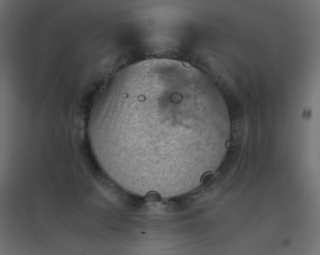 X0000094450703200711211519