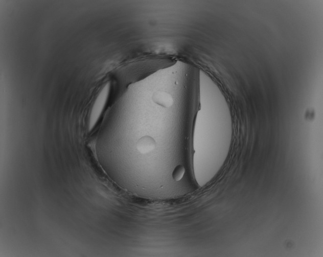 X0000094450704200711211519