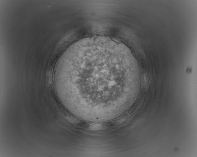 X0000094450705200711211519