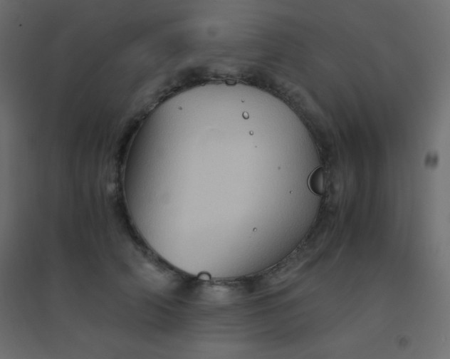 X0000094450706200711211518