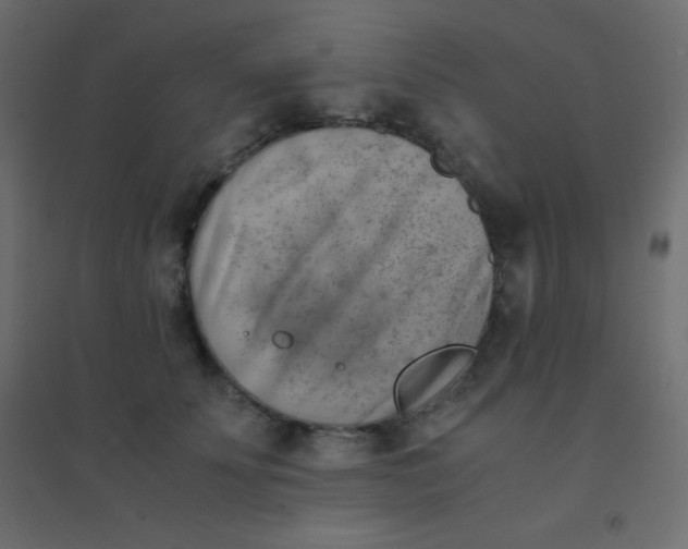 X0000094450707200711211518