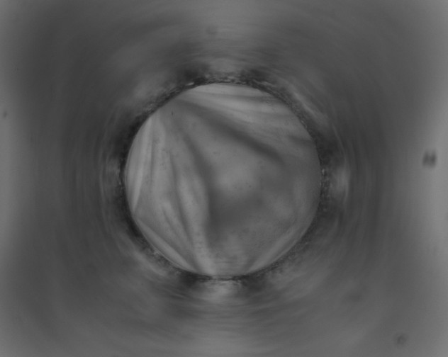 X0000094450711200711211518