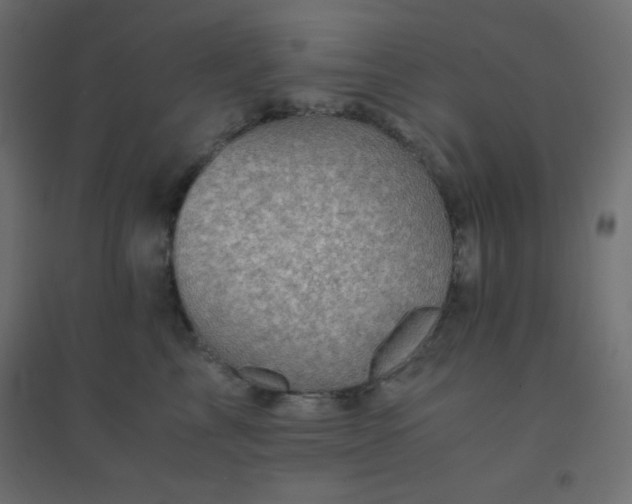 X0000094450713200711211518