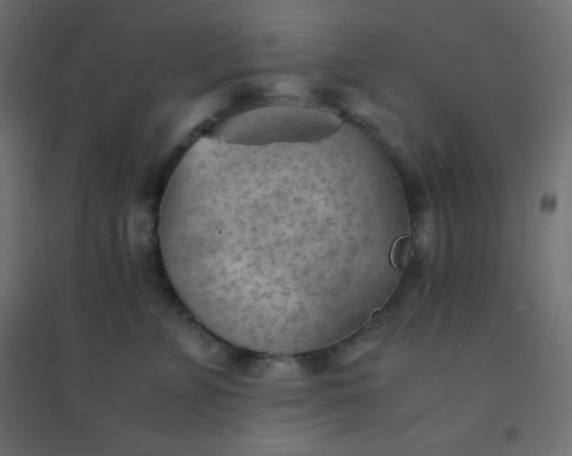 X0000094450715200711211518