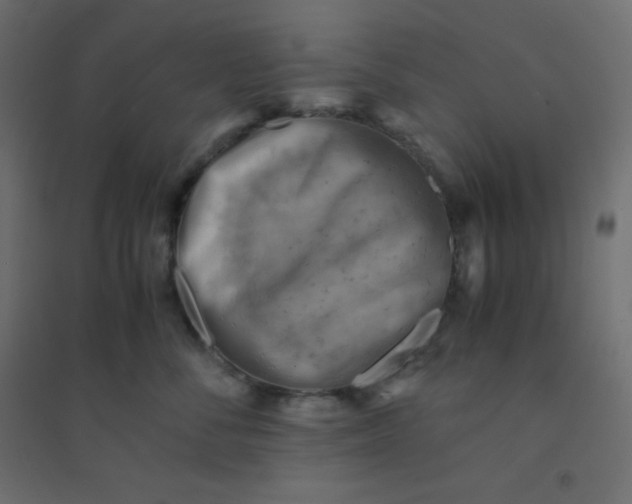 X0000094450716200711211518