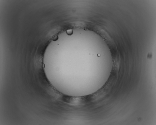 X0000094450717200711211518