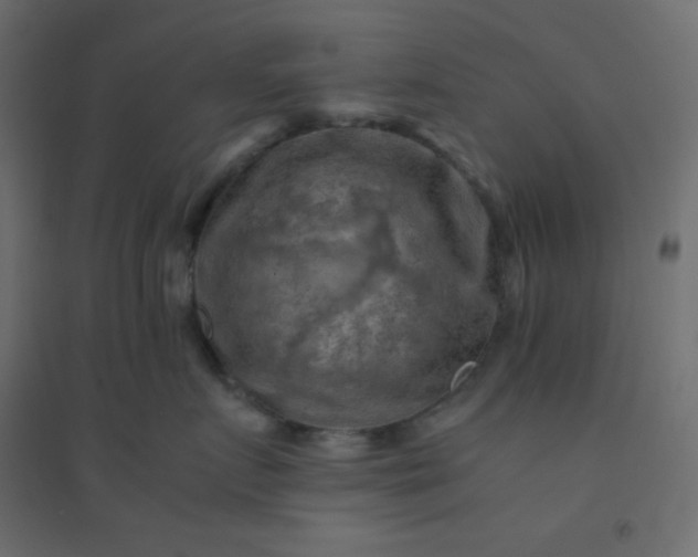 X0000094450719200711211518