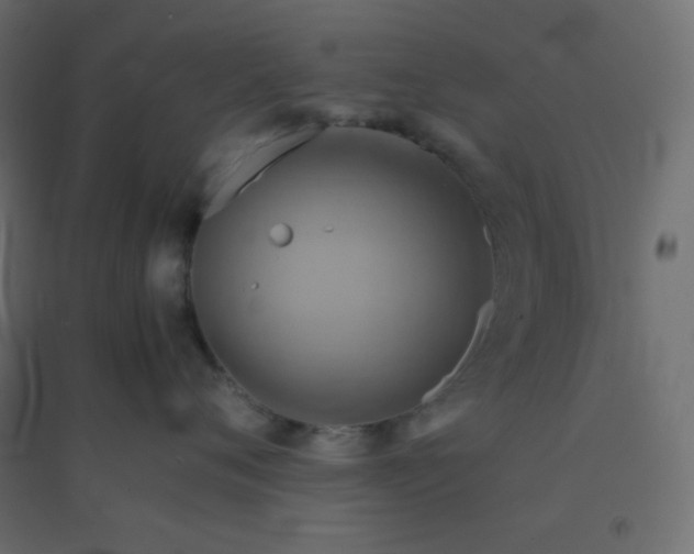 X0000094450720200711211518