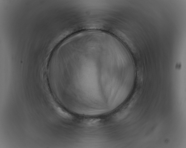 X0000094450721200711211518