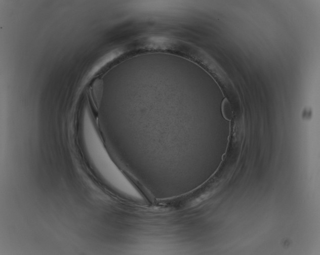 X0000094450722200711211518