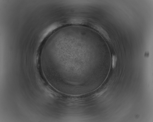 X0000094450723200711211518