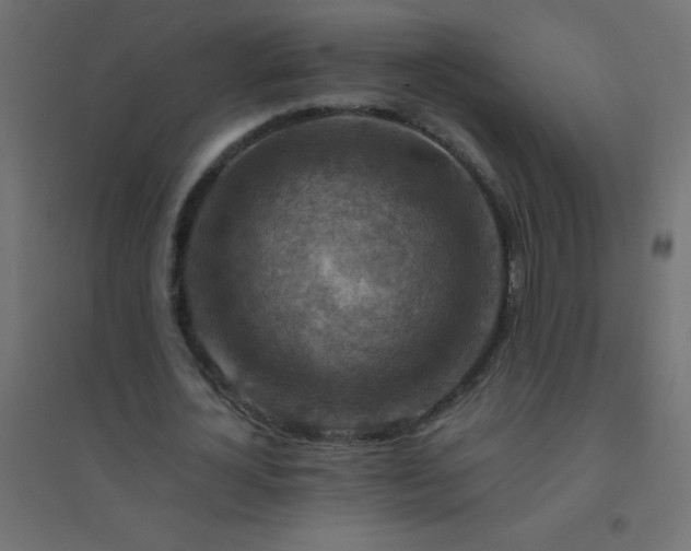 X0000094450724200711211518