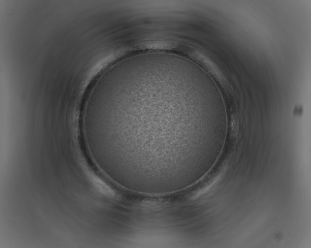 X0000094450725200711211518