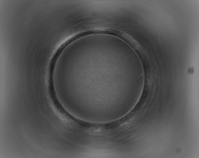 X0000094450728200711211518