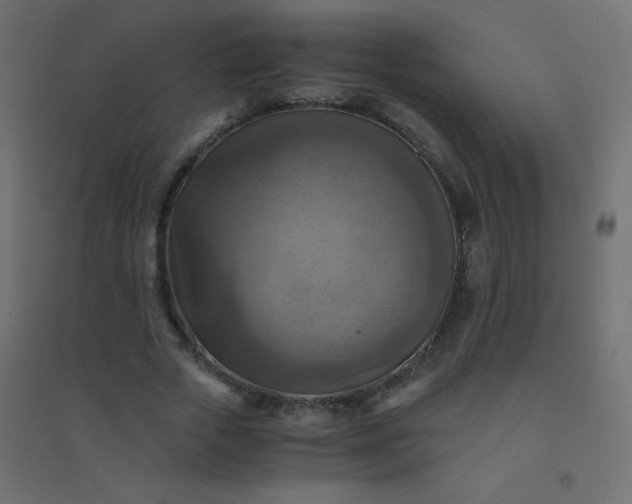 X0000094450729200711211518