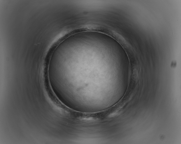 X0000094450730200711211518