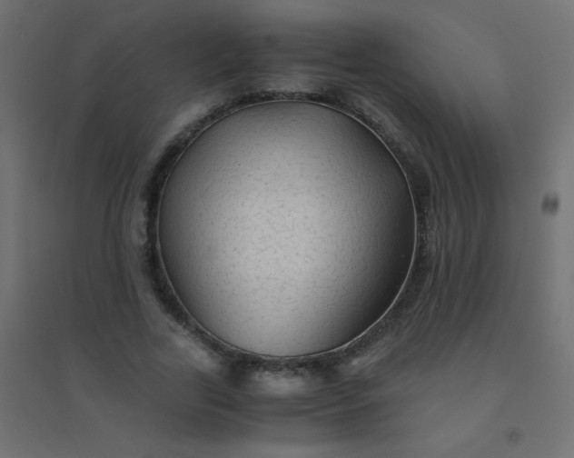 X0000094450731200711211518