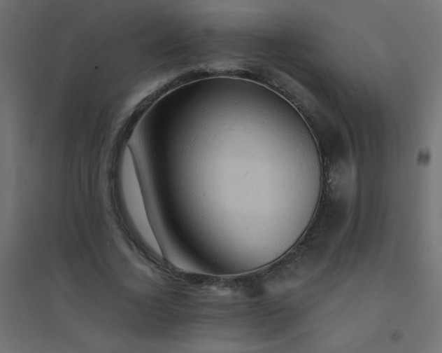 X0000094450732200711211518