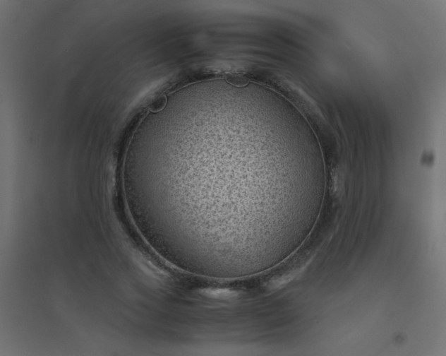 X0000094450733200711211518