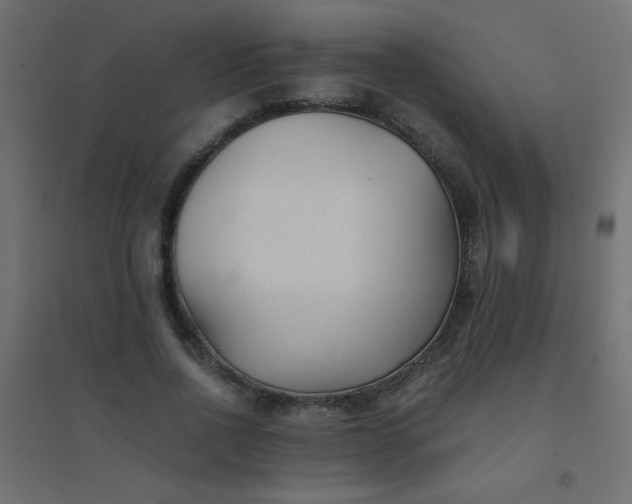 X0000094450734200711211518