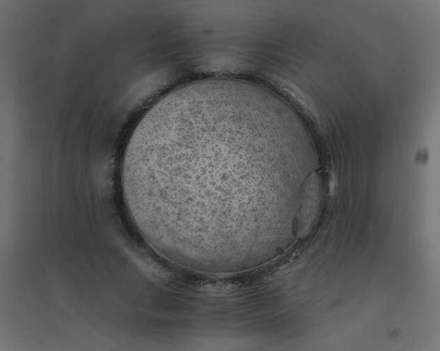 X0000094450735200711211518