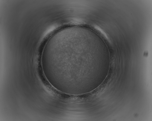 X0000094450736200711211518