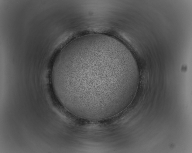 X0000094450738200711211518