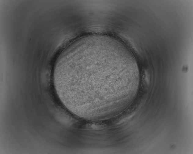 X0000094450739200711211518