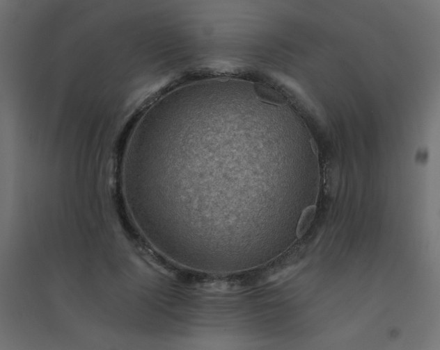 X0000094450740200711211518