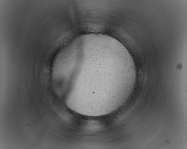 X0000094450741200711211518