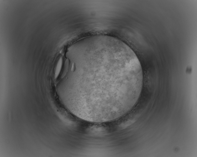 X0000094450742200711211518