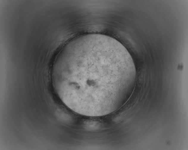 X0000094450743200711211518