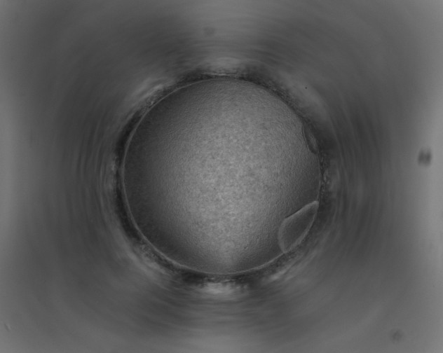 X0000094450744200711211518