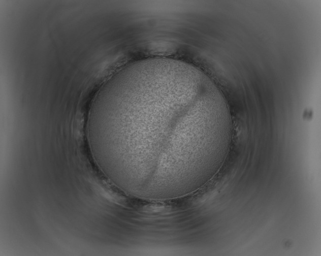 X0000094450745200711211518