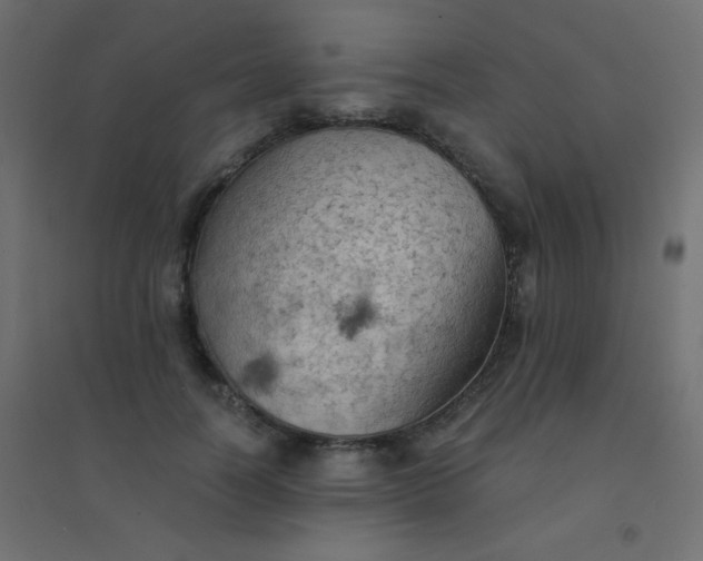 X0000094450746200711211518