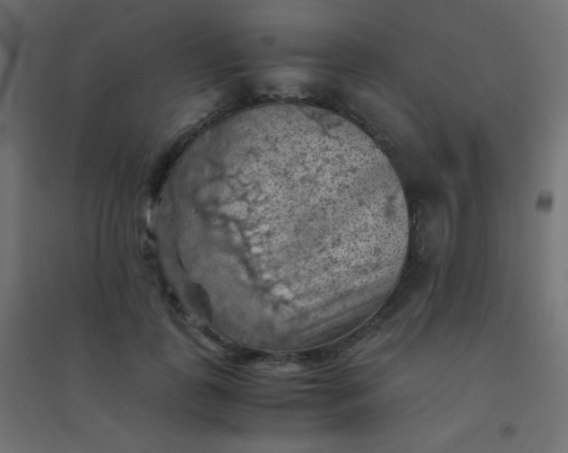 X0000094450747200711211518