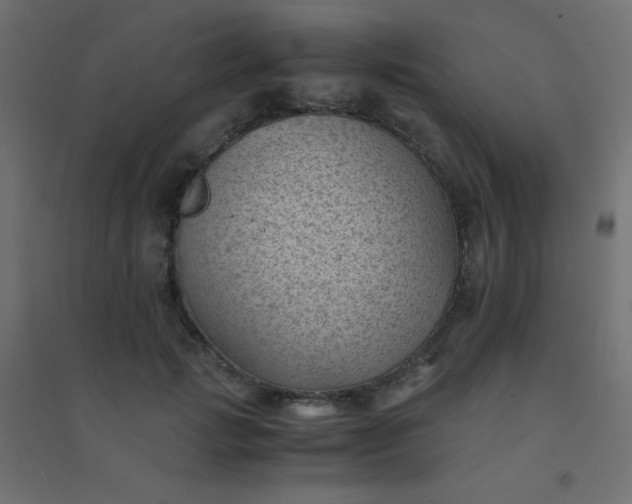 X0000094450749200711211518