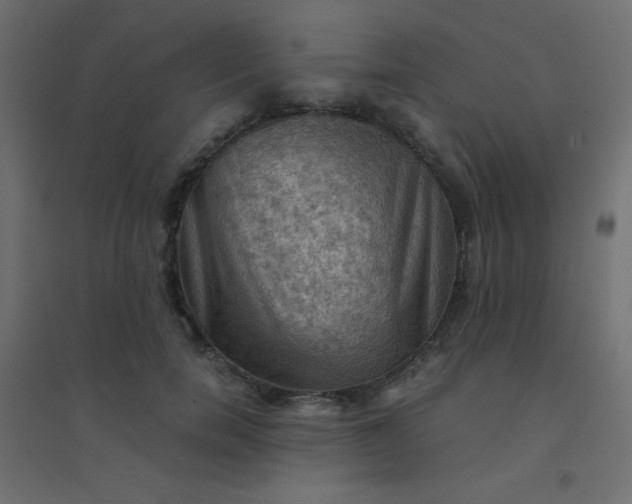 X0000094450750200711211518