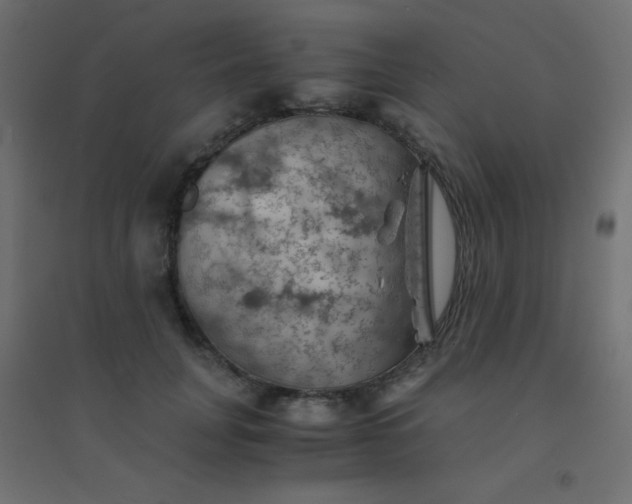 X0000094450751200711211518