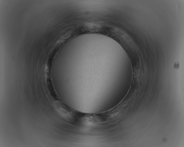 X0000094450752200711211518