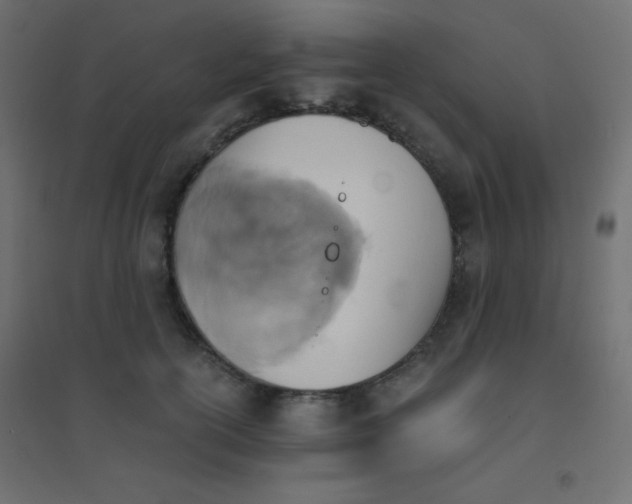 X0000094450754200711211518