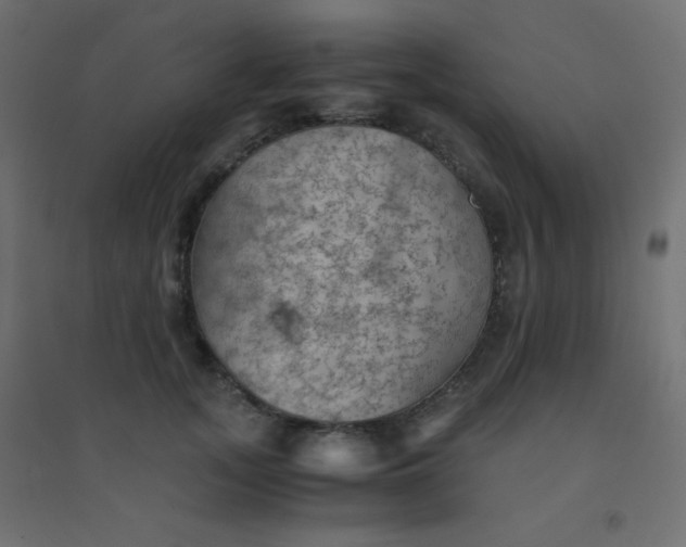 X0000094450755200711211518