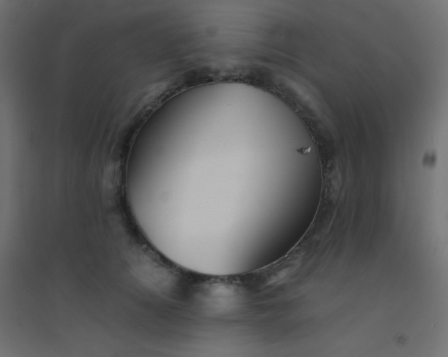 X0000094450756200711211518