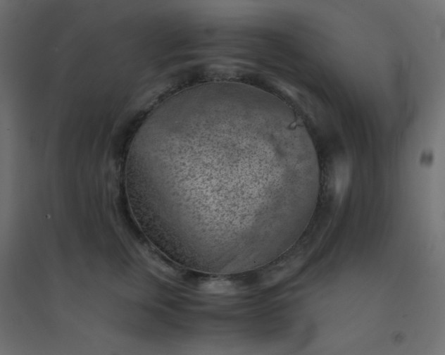 X0000094450759200711211518