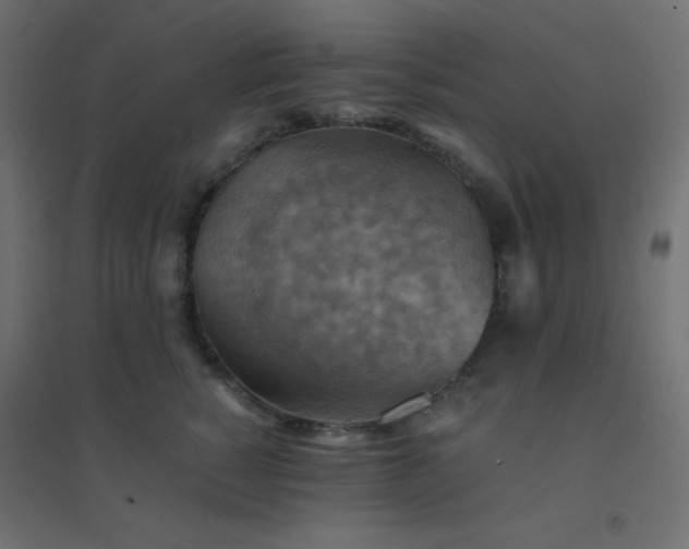 X0000094450760200711211518