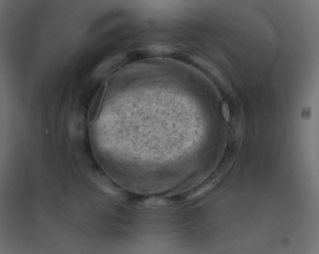 X0000094450762200711211518