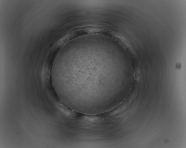 X0000094450763200711211518