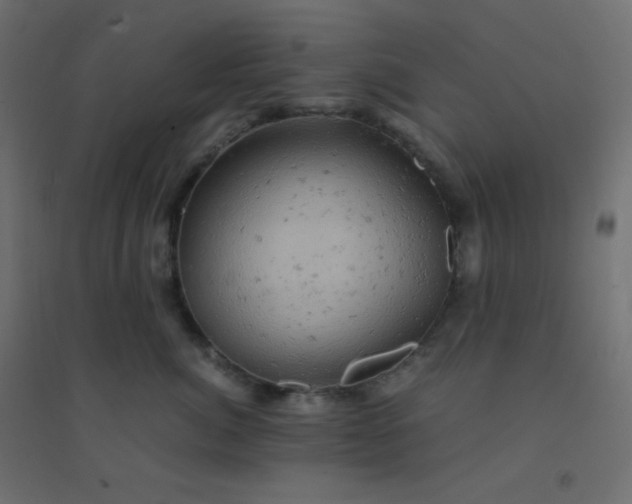 X0000094450764200711211518